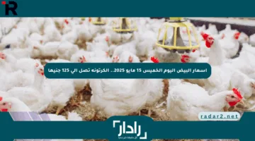 أسعار البيض اليوم الخميس 15 مايو 2025.. الكرتونة تصل إلى 125 جنيها